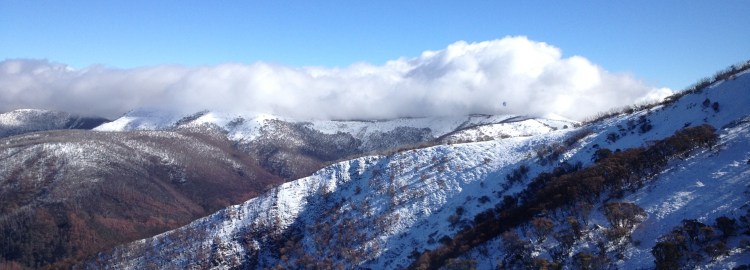 Asterix Ski Lodge Mount Hotham